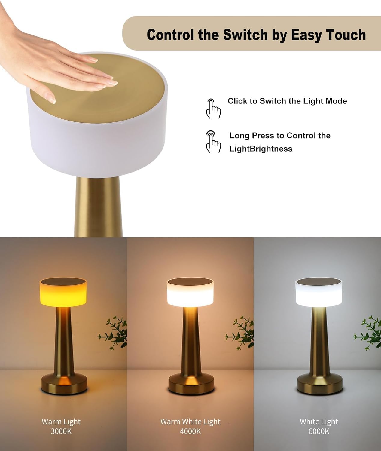 Cordless LED Touch Lamp
