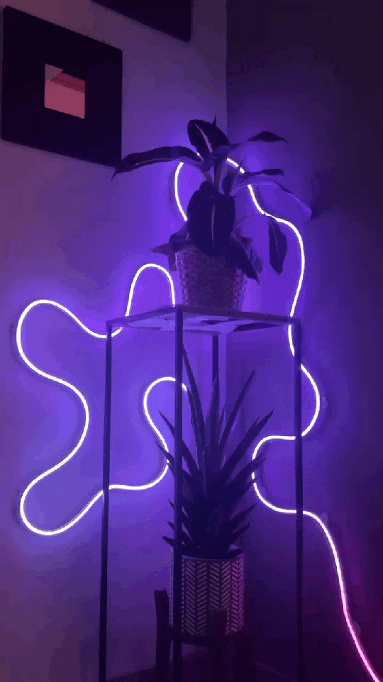 NeonGlow Smart Rope Strip Light with Music Syncing (5 Meters) by RetroGoods™
