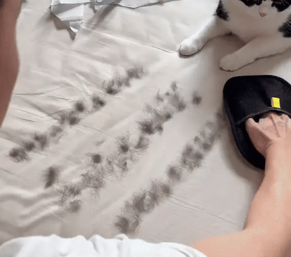 Pet Hair Removing Glove by RetroGoods™