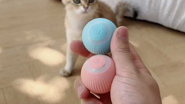 Bola autorolante | Brinquedo de brincar para cães e gatos – RetroGoods